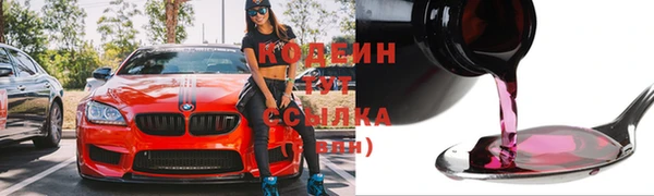 молекула духа Михайловск