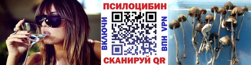 Галлюциногенные грибы Psilocybine cubensis  Белоярский 